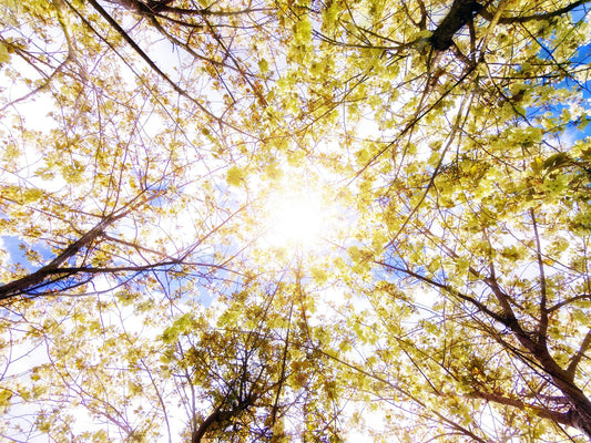 Spring Sun & Sensitive Scalps